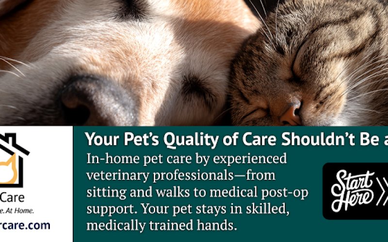 VetterCare - Pet Sitting & Boarding by Vet Techs