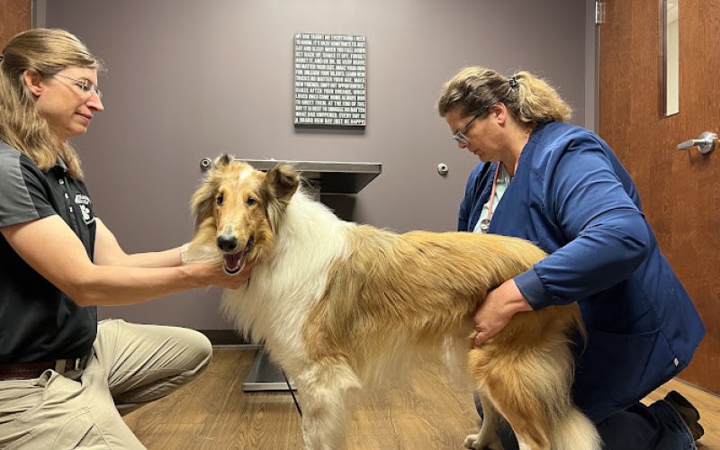 Family Pet Health Center