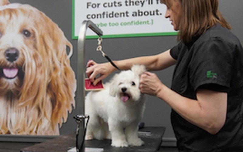 Pet Supplies Plus South Bend — Pet supply store in South Bend