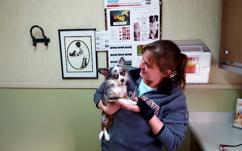 South Bend Animal Clinic