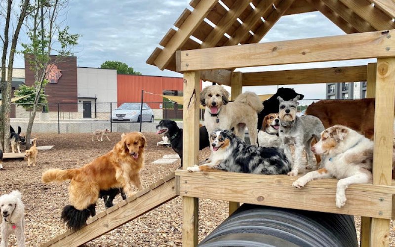 Bark Yard