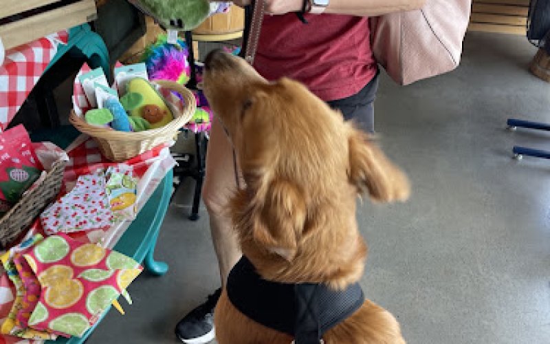 Fetch Pet Supplies & Gifts