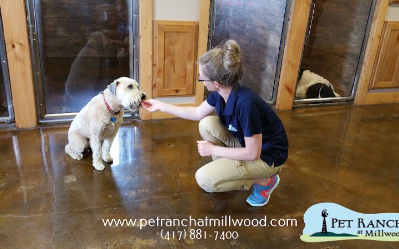 Pet Ranch At Millwood