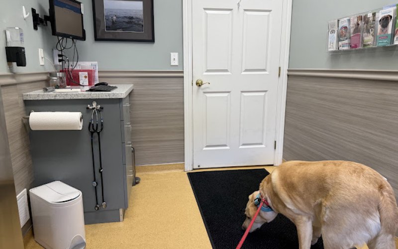 Grand Avenue Veterinary Center