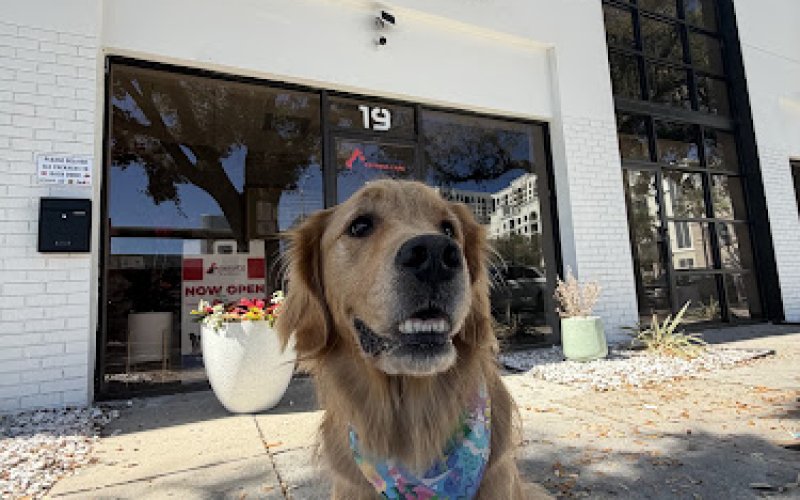 CentralPet Express Care — Veterinarian in St. Petersburg