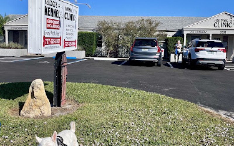 The Animal Clinic of St.Pete — Veterinarian in St. Petersburg