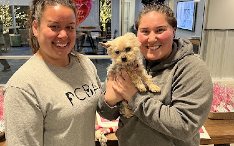 PCBA VET TECH SITTERS, LLC
