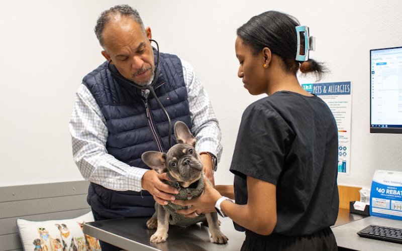 PetSmart Veterinary Services - Stamford