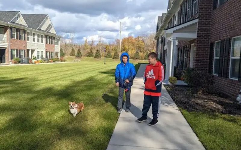 LJM Family Pet Care (Boarding, Walking, etc.)