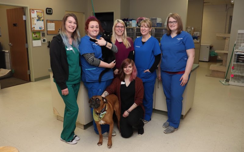 Metropolitan Veterinary Center