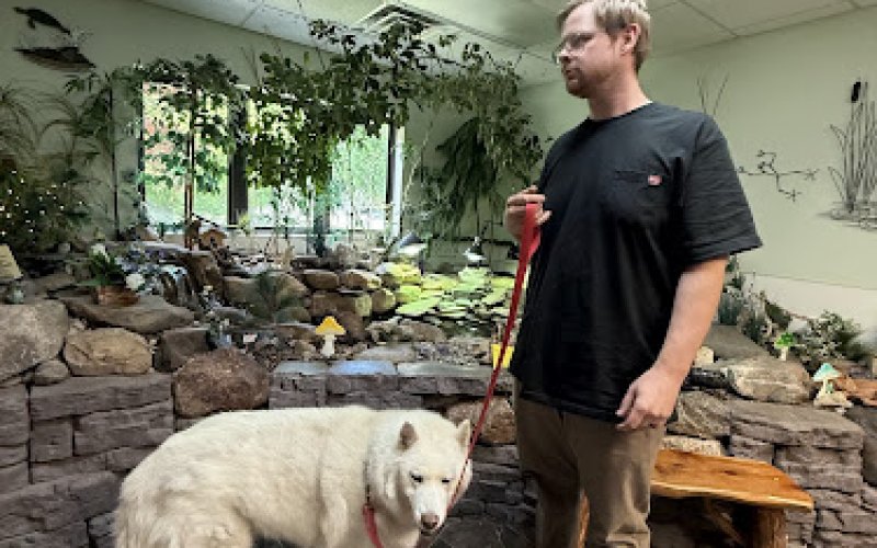 Serenity Animal Hospital & Pet Resort