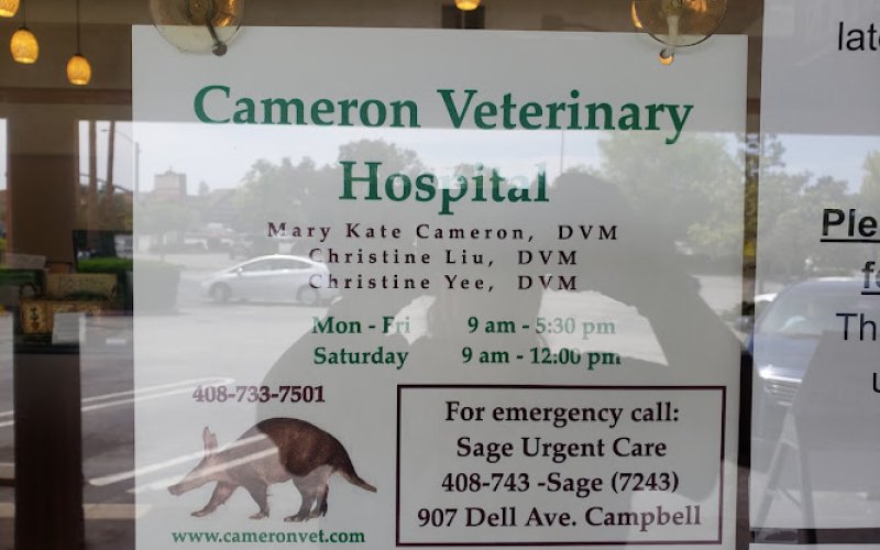 Cameron Veterinary Hospital: Cameron Mary Kate DVM