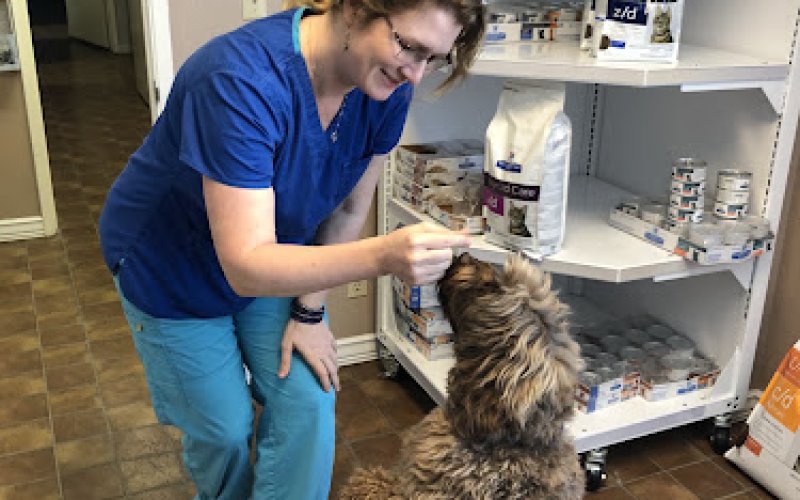 Cherry Chase Pet Hospital