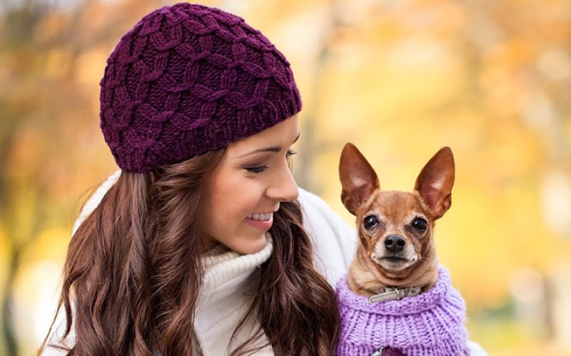 Pet Care Animal Hospital