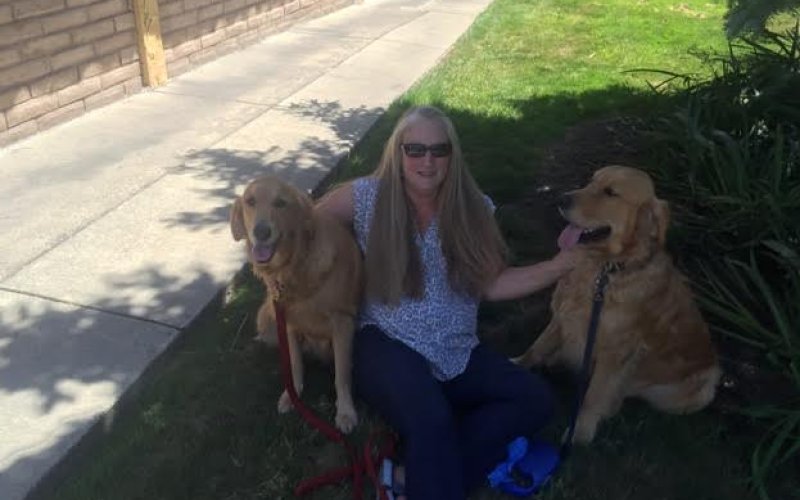Sittin' Pretty Pet & Home Sitters