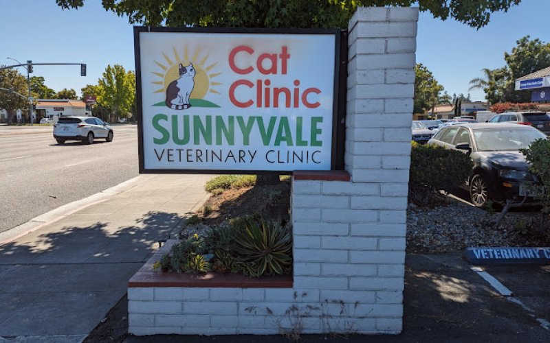 Sunnyvale Cat Clinic