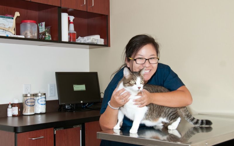 VCA Tri City Animal Hospital and Acacia Cat Hospital