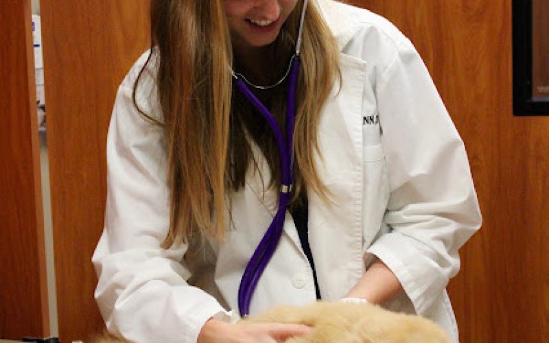Conejo Valley Veterinary Hospital