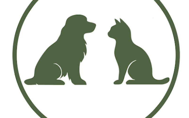 Oasis Animal Wellness