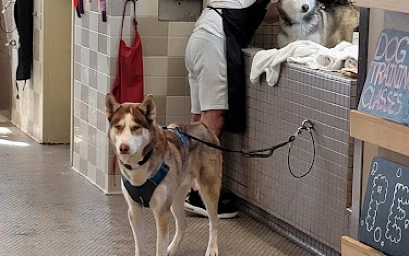 Pet Food Express — Pet supply store in Thousand Oaks