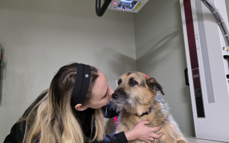 Pets First Veterinary Hospital