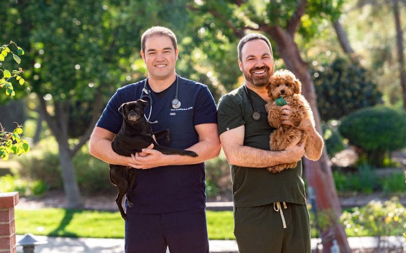 The Pet Hospital of Thousand Oaks
