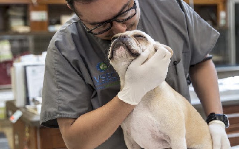 Veterinary Specialty and Emergency Center of Thousand Oaks