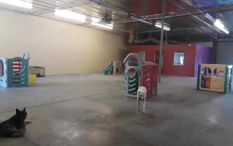 Dirty Dawgs Pet Care Doggy Daycare & Boarding