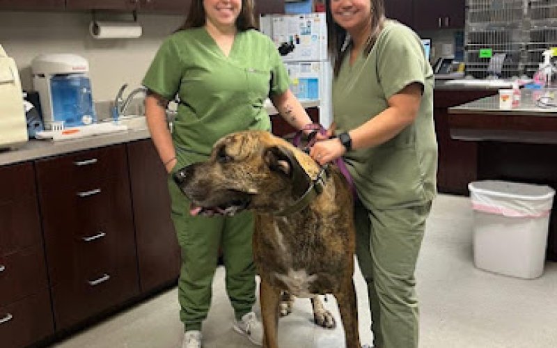 Animal Medical Center of Tyler
