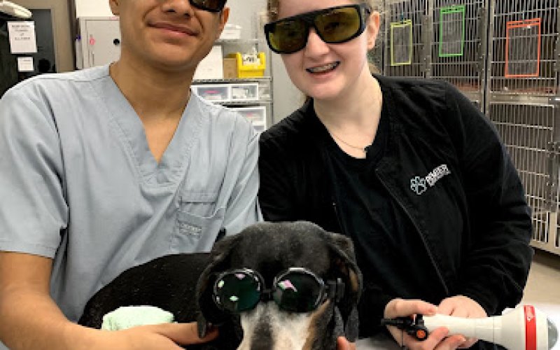 Premier Veterinary Hospital