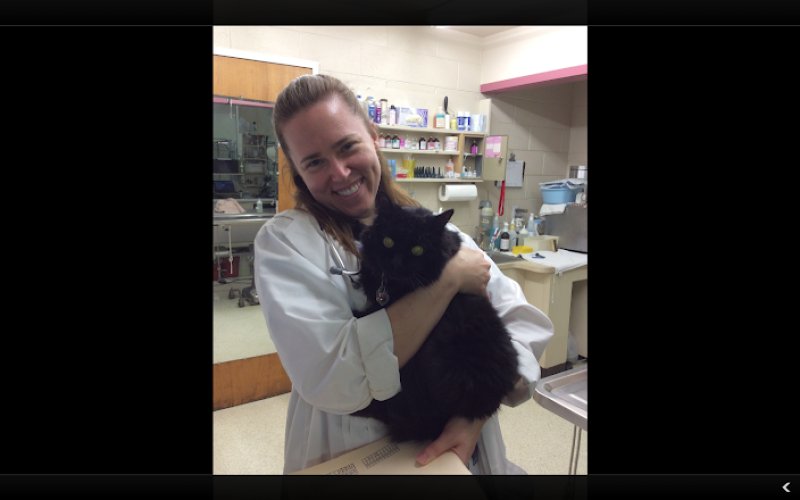 Vacaville Animal Care Center