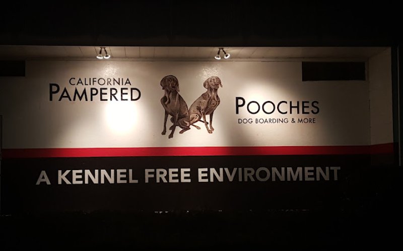 California Pampered Pooches