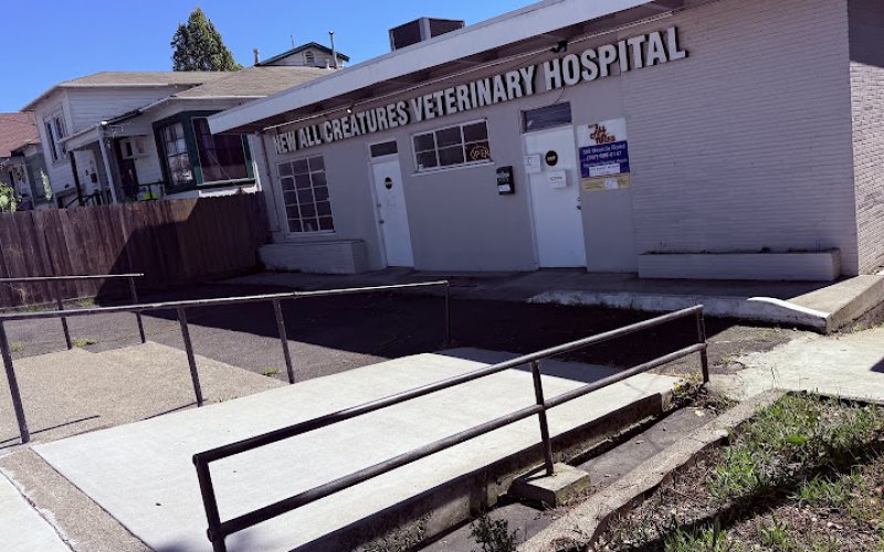 New All Creatures Veterinary Hospital