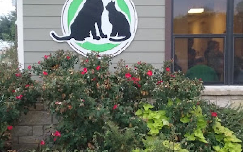 Animal Birth Control Clinic