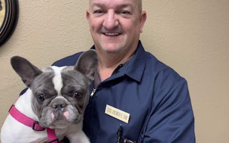 Lake Air Animal Hospital