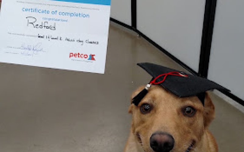 Petco