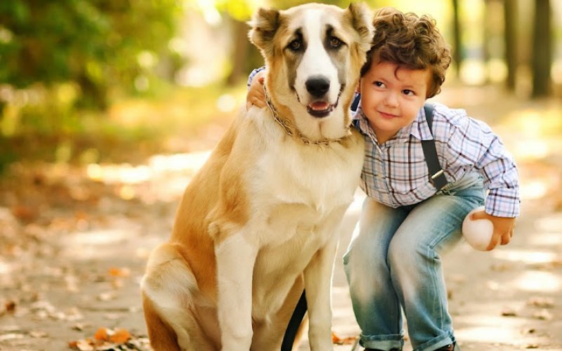 All Care Animal Clinic