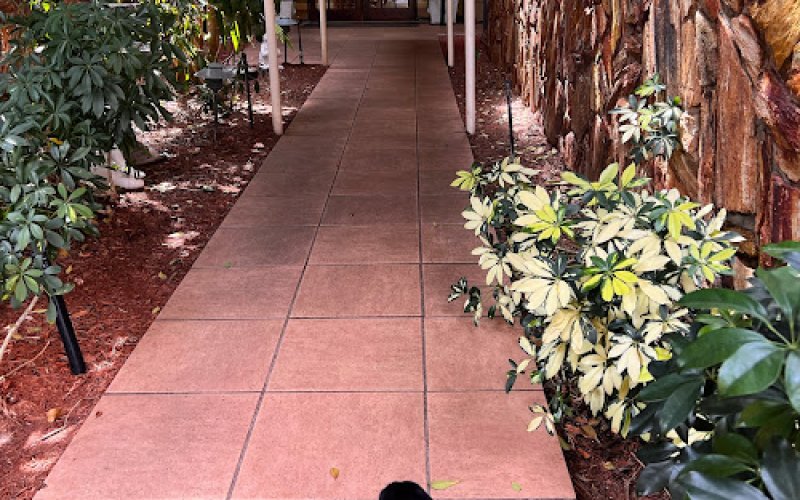 The Ohana Pet Resort