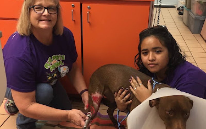 West Palm Animal Clinic: Dr. Michelle Durkee