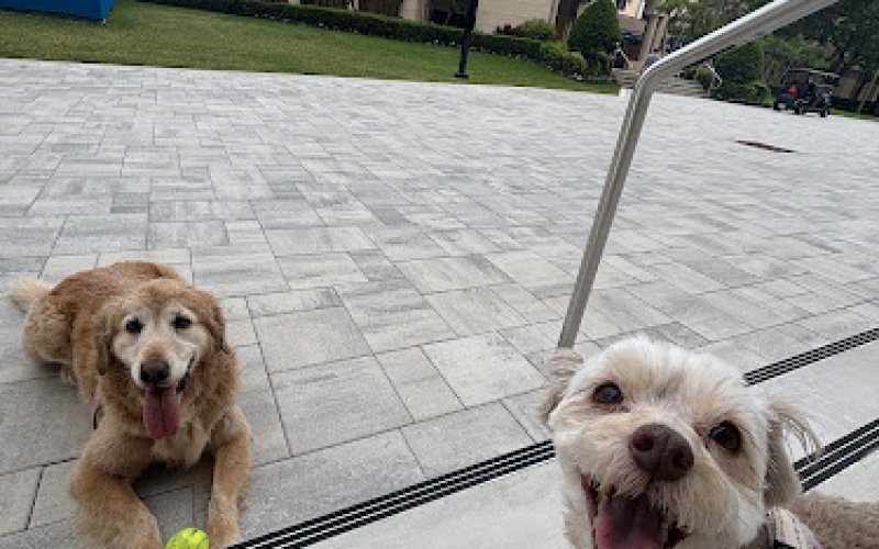 West Palm Beach Pet Care