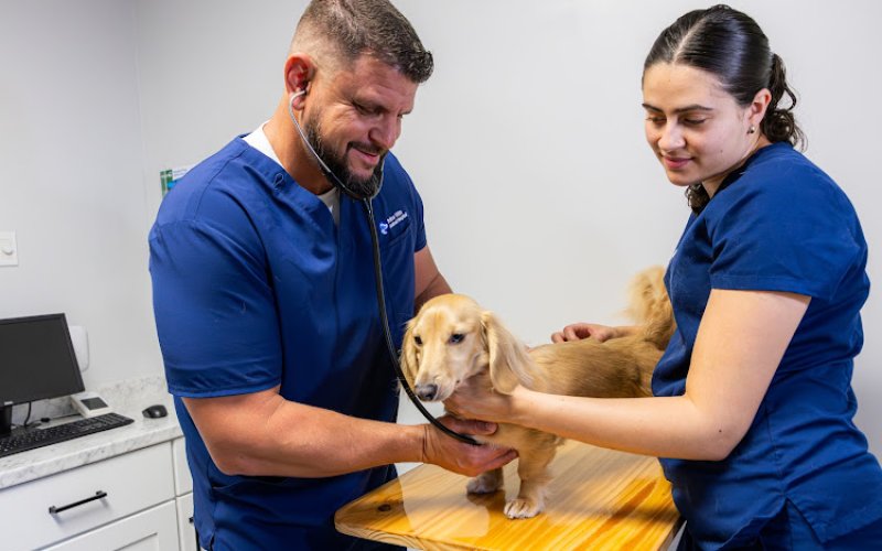 West Palm Beach Veterinary Clinic