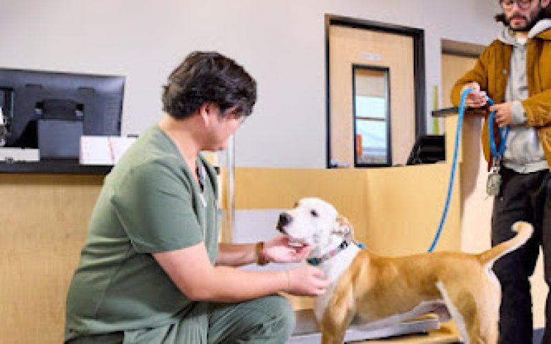 Banfield Pet Hospital