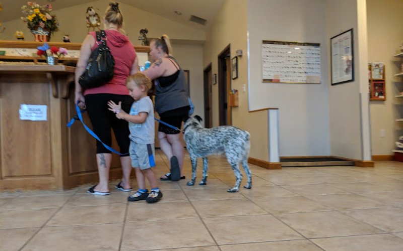 Hunter Animal Hospital
