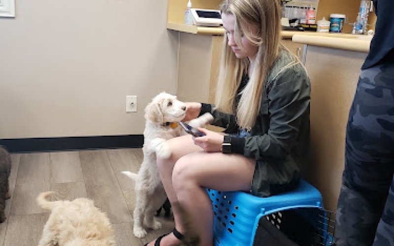 Petcare Animal Hospital