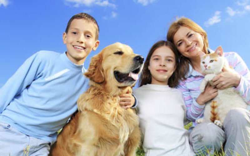 West Jordan Veterinary Hospital