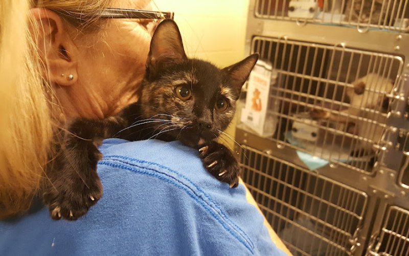 West Valley Animal Shelter
