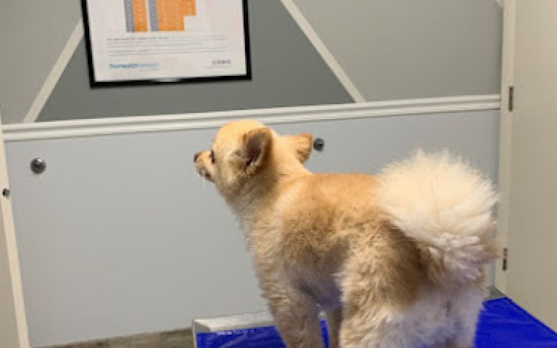 West Valley Veterinary Clinic
