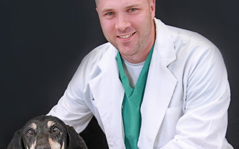 Choice Veterinary Specialists
