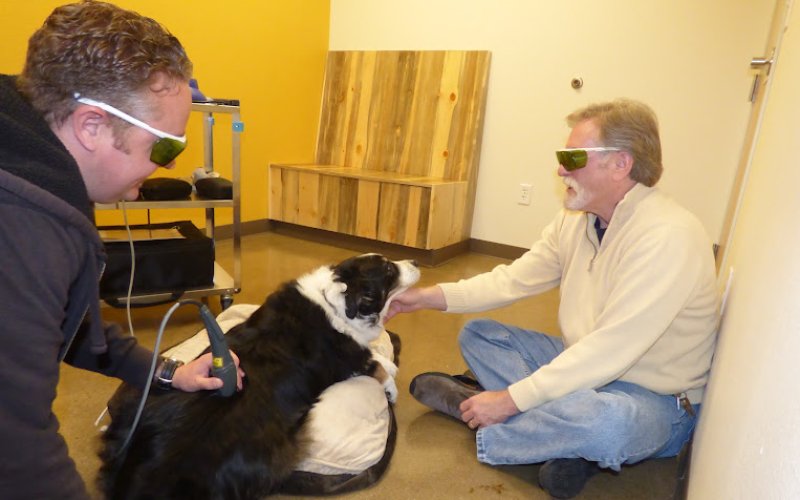 Legacy Veterinary Clinic