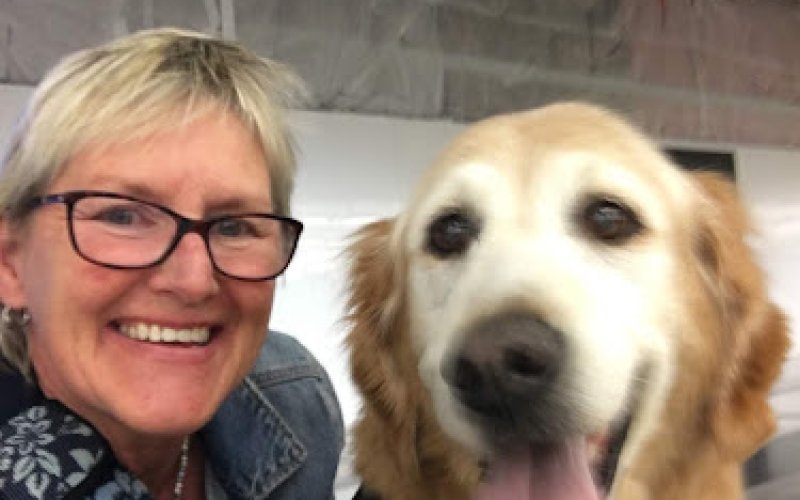 Orchard Veterinary Medical Center